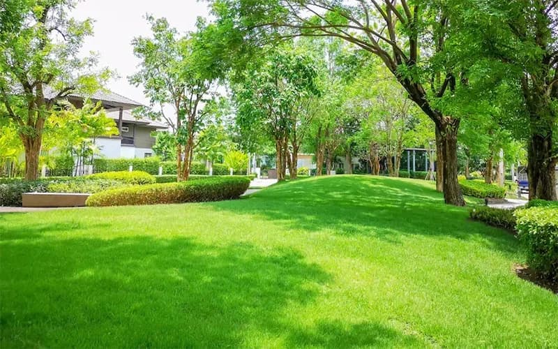 Dịch vụ cắt cỏ tại Bắc Ninh