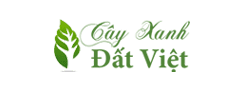 Cây Xanh Đất Việt